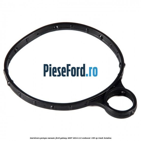 Garnitura pompa vacuum Ford Galaxy 2007-2014 2.0 EcoBoost 199 cp TNWB benzina