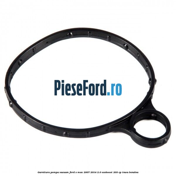 Garnitura pompa vacuum Ford S-Max 2007-2014 2.0 EcoBoost 203 cp TNWA benzina