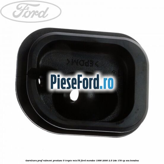 Garnitura praf rulment presiune 5 trepte MTX75 Ford Mondeo 1996-2000 2.5 24V 170 cp Garnitura praf rulment presiune 5 trepte MTX75 Ford Mondeo 1996-2000 2.5 24V 170 cp SEA benzina