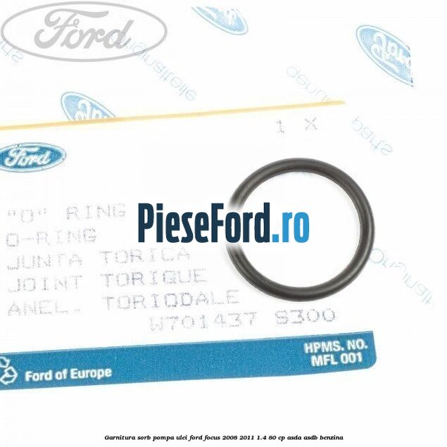 Garnitura sorb pompa ulei Ford Focus 2008-2011 1.4 80 cp ASDA, ASDB benzina