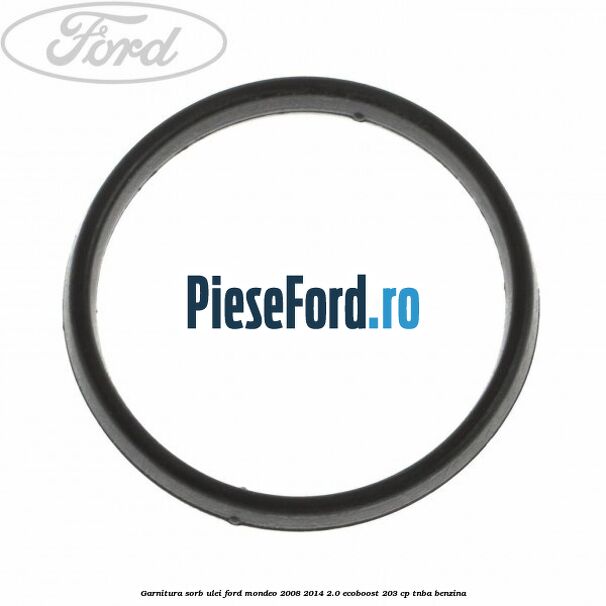 Garnitura sorb ulei Ford Mondeo 2008-2014 2.0 EcoBoost 203 cp TNBA benzina