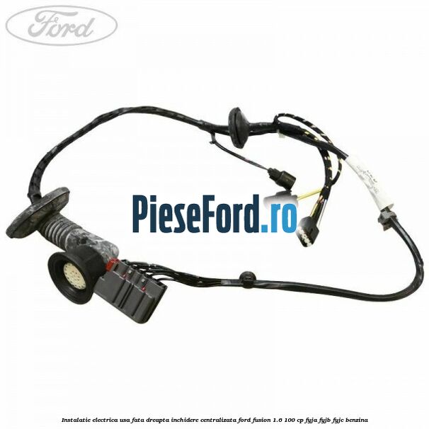 Instalatie electrica usa fata dreapta inchidere centralizata Ford Fusion 1.6 100 cp FYJA, FYJB, FYJC benzina