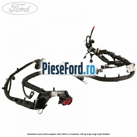 Instalatie motor Ford EcoSport 2013-2018 1.0 EcoBoost 125 cp M1JC, M1JJ, M1JU benzina