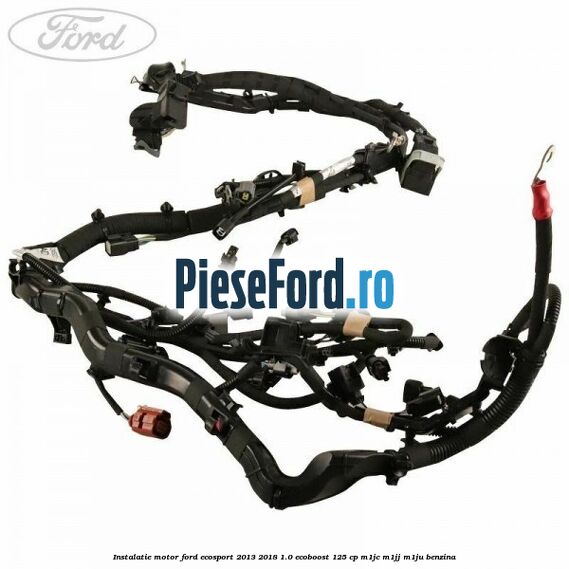 Instalatie motor Ford EcoSport 2013-2018 1.0 EcoBoost 125 cp M1JC, M1JJ, M1JU benzina