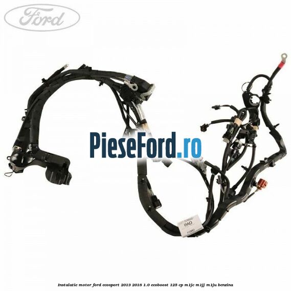 Instalatie motor Ford EcoSport 2013-2018 1.0 EcoBoost 125 cp M1JC, M1JJ, M1JU benzina