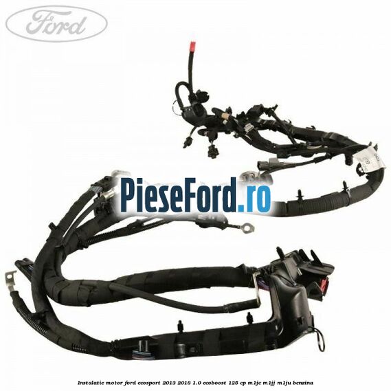 Instalatie motor Ford EcoSport 2013-2018 1.0 EcoBoost 125 cp M1JC, M1JJ, M1JU benzina