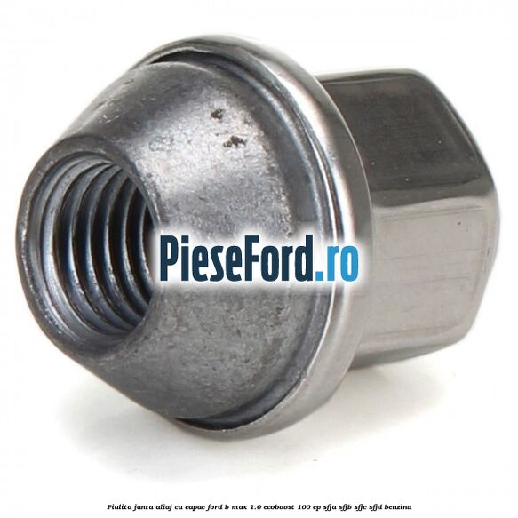 Piulita janta aliaj cu capac Ford B-Max 1.0 EcoBoost 100 cp Piulita janta aliaj cu capac Ford B-Max 1.0 EcoBoost 100 cp SFJA, SFJB, SFJC, SFJD benzina