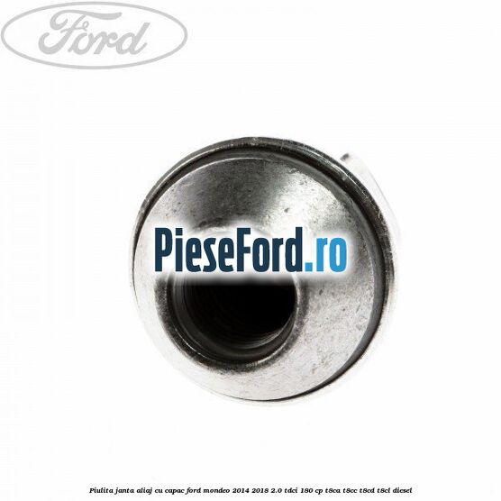 Piulita janta aliaj cu capac Ford Mondeo 2014-2018 2.0 TDCi 180 cp T8CA, T8CC, T8CD, T8CL diesel