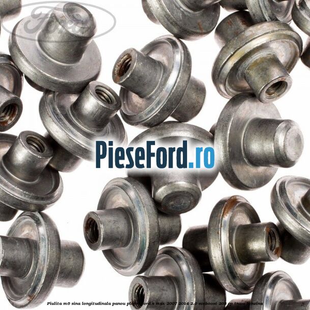Piulita M6 sina longitudinala panou plafon Ford S-Max 2007-2014 2.0 EcoBoost 203 cp Piulita M6 sina longitudinala panou plafon Ford S-Max 2007-2014 2.0 EcoBoost 203 cp TNWA benzina