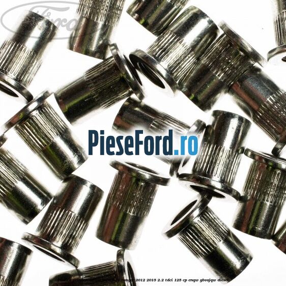 Piulita prindere aripa fata Ford Ranger 2012-2015 2.2 TDCi 125 cp ENQW, GBVAJQW diesel