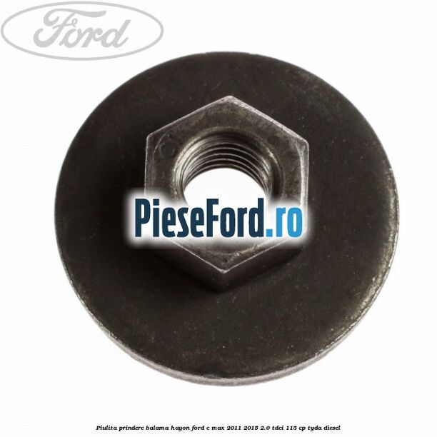 Piulita prindere balama hayon Ford C-Max 2011-2015 2.0 TDCi 115 cp TYDA diesel