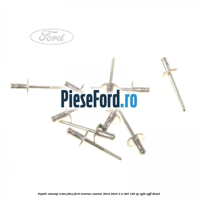 Popnit carenaj roata fata Ford Tourneo Custom 2014-2018 2.2 TDCi 125 cp Popnit carenaj roata fata Ford Tourneo Custom 2014-2018 2.2 TDCi 125 cp CYF4, CYFF diesel