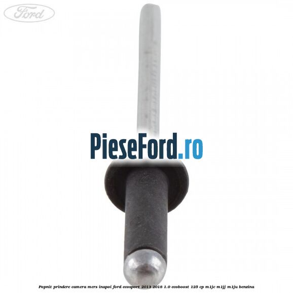Popnit prindere camera mers inapoi Ford EcoSport 2013-2018 1.0 EcoBoost 125 cp M1JC, M1JJ, M1JU benzina