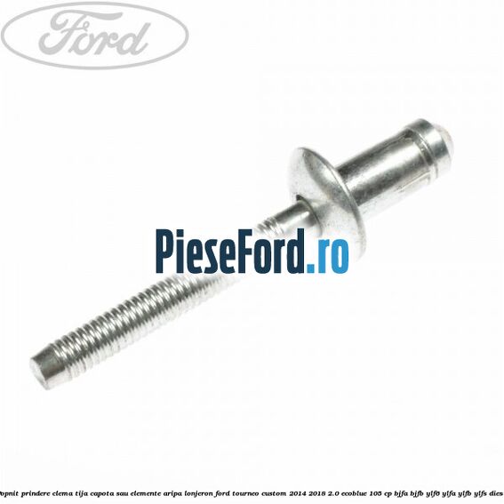 Popnit prindere clema tija capota sau elemente aripa lonjeron Ford Tourneo Custom 2014-2018 2.0 EcoBlue 105 cp Popnit prindere clema tija capota sau elemente aripa lonjeron Ford Tourneo Custom 2014-2018 2.0 EcoBlue 105 cp BJFA, BJFB, YLF6, YLFA, YLFB, YLFS diesel