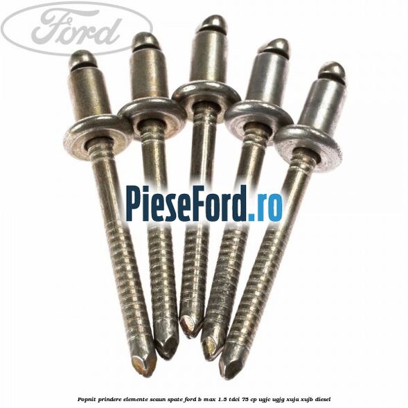 Popnit prindere elemente scaun spate Ford B-Max 1.5 TDCi 75 cp Popnit prindere elemente scaun spate Ford B-Max 1.5 TDCi 75 cp UGJC, UGJG, XUJA, XUJB diesel
