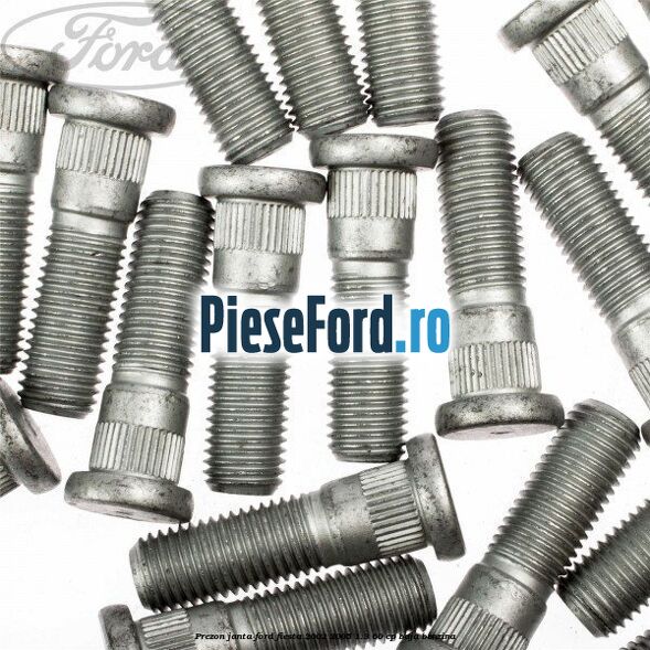 Prezon janta Ford Fiesta 2002-2005 1.3 60 cp BAJA benzina