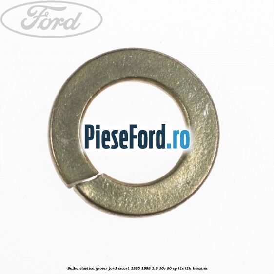 Saiba elastica grover Ford Escort 1995-1998 1.6 16V 90 cp L1E, L1K benzina
