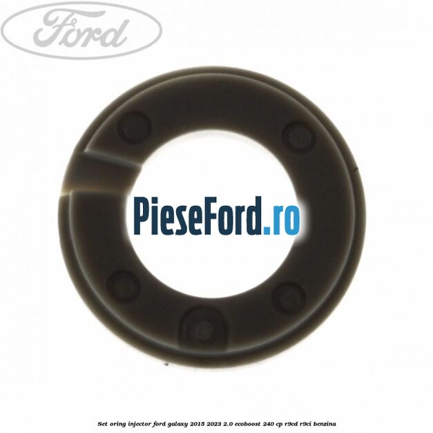Set oring injector Ford Galaxy 2015-2023 2.0 EcoBoost 240 cp R9CD, R9CI benzina