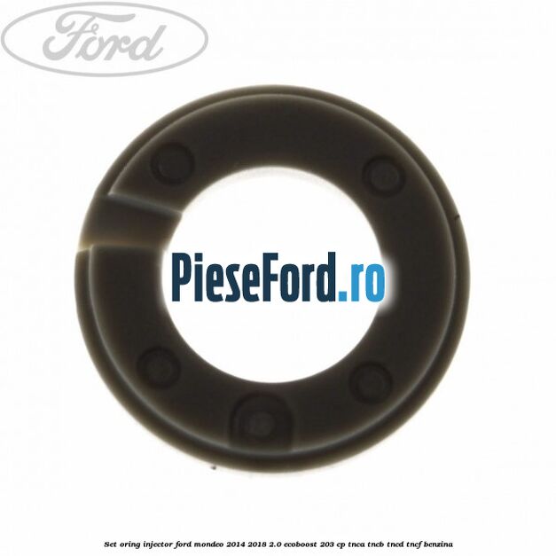 Set oring injector Ford Mondeo 2014-2018 2.0 EcoBoost 203 cp TNCA, TNCB, TNCD, TNCF benzina