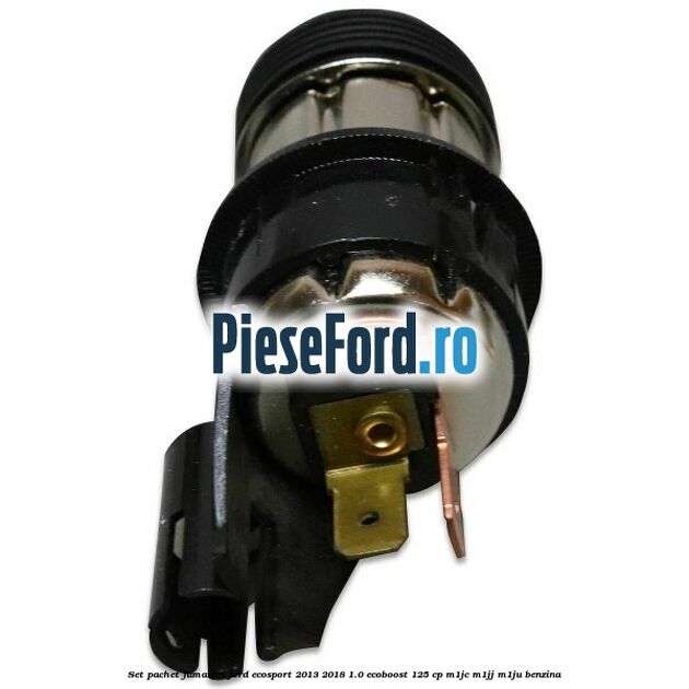 Set pachet fumatori Ford EcoSport 2013-2018 1.0 EcoBoost 125 cp M1JC, M1JJ, M1JU benzina