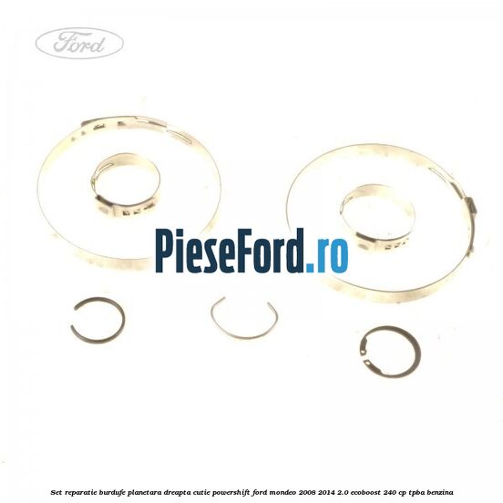 Set reparatie burdufe planetara dreapta cutie Powershift Ford Mondeo 2008-2014 2.0 EcoBoost 240 cp Set reparatie burdufe planetara dreapta cutie Powershift Ford Mondeo 2008-2014 2.0 EcoBoost 240 cp TPBA benzina