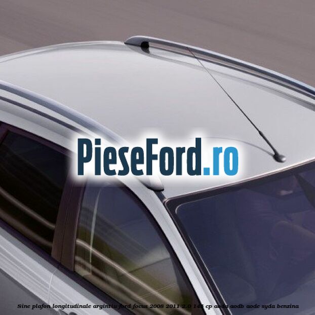 Sine plafon longitudinale, argintiu Ford Focus 2008-2011 2.0 145 cp AODA, AODB, AODE, SYDA benzina