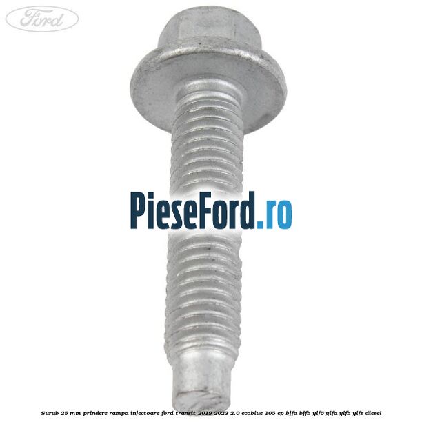 Surub 25 mm prindere rampa injectoare Ford Transit 2019-2023 2.0 EcoBlue 105 cp BJFA, BJFB, YLF6, YLFA, YLFB, YLFS diesel