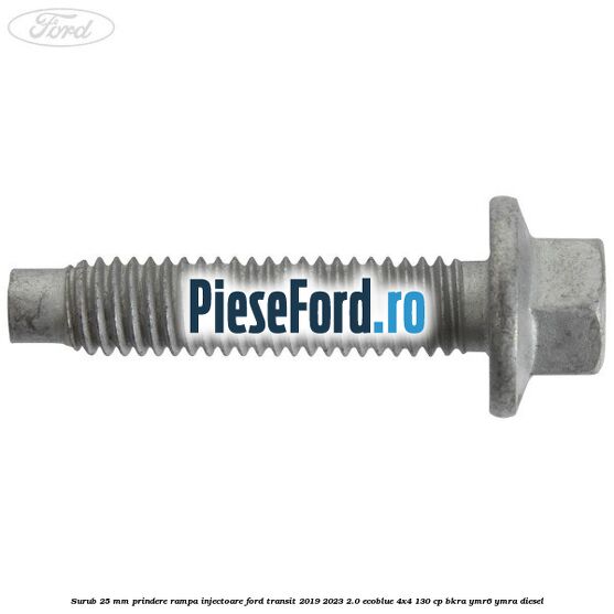 Surub 25 mm prindere rampa injectoare Ford Transit 2019-2023 2.0 EcoBlue 4x4 130 cp BKRA, YMR6, YMRA diesel