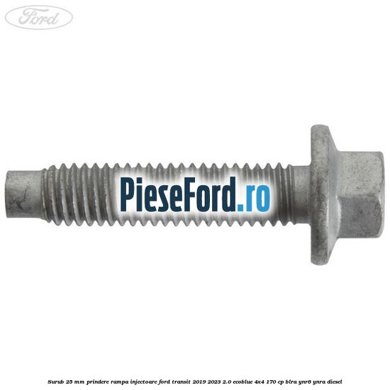 Surub 25 mm prindere rampa injectoare Ford Transit 2019-2023 2.0 EcoBlue 4x4 170 cp BLRA, YNR6, YNRA diesel