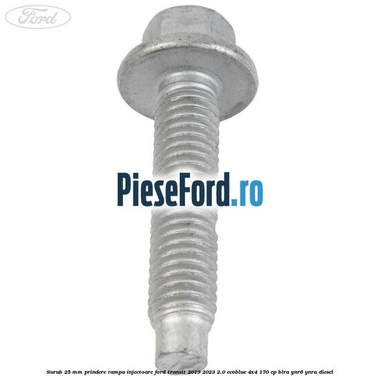 Surub 25 mm prindere rampa injectoare Ford Transit 2019-2023 2.0 EcoBlue 4x4 170 cp BLRA, YNR6, YNRA diesel