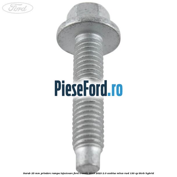 Surub 25 mm prindere rampa injectoare Ford Transit 2019-2023 2.0 EcoBlue mHEV RWD 130 cp BKRB Hybrid