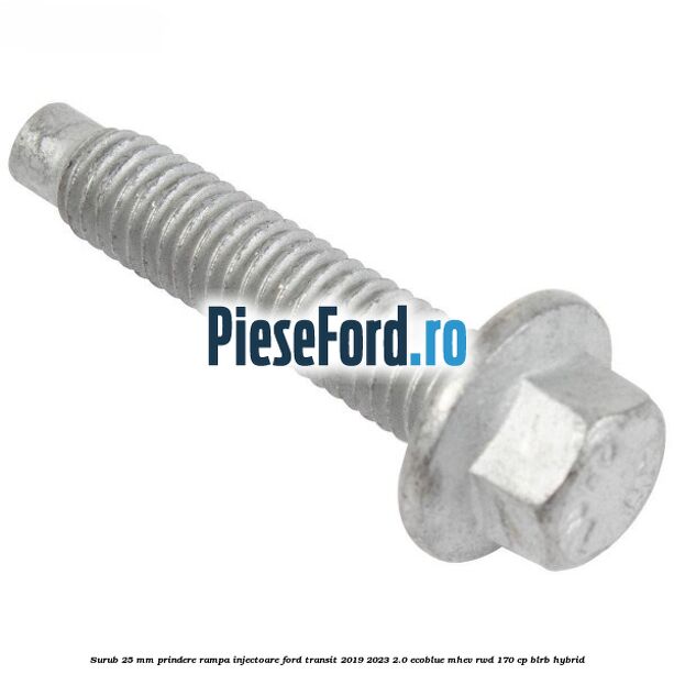 Surub 25 mm prindere rampa injectoare Ford Transit 2019-2023 2.0 EcoBlue mHEV RWD 170 cp BLRB Hybrid