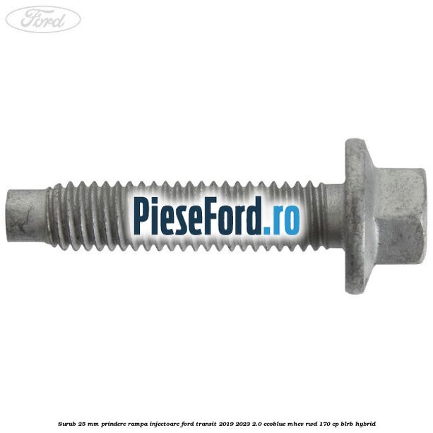 Surub 25 mm prindere rampa injectoare Ford Transit 2019-2023 2.0 EcoBlue mHEV RWD 170 cp BLRB Hybrid