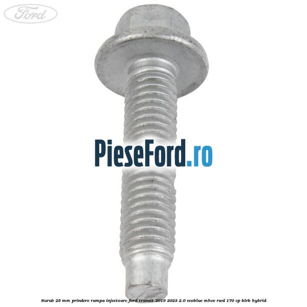 Surub 25 mm prindere rampa injectoare Ford Transit 2019-2023 2.0 EcoBlue mHEV RWD 170 cp BLRB Hybrid