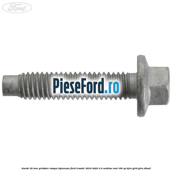 Surub 25 mm prindere rampa injectoare Ford Transit 2019-2023 2.0 EcoBlue RWD 105 cp BJRA, YLR6, YLRA diesel