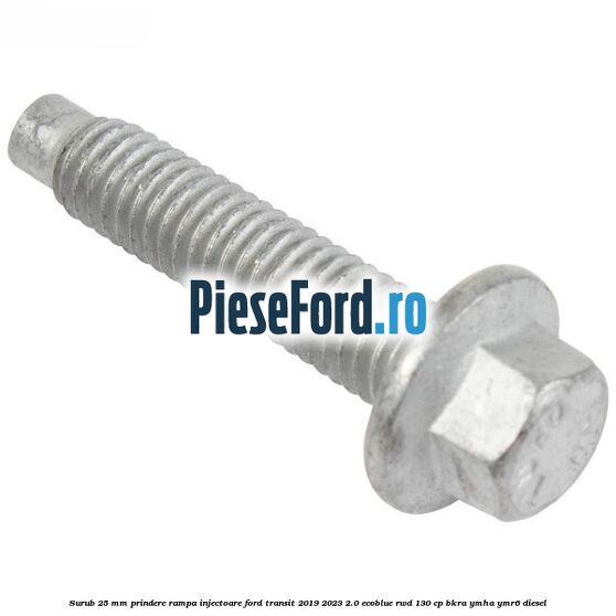 Surub 25 mm prindere rampa injectoare Ford Transit 2019-2023 2.0 EcoBlue RWD 130 cp BKRA, YMHA, YMR6 diesel