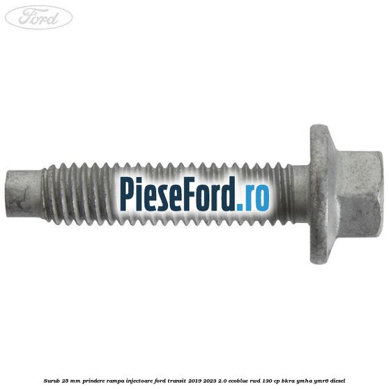 Surub 25 mm prindere rampa injectoare Ford Transit 2019-2023 2.0 EcoBlue RWD 130 cp BKRA, YMHA, YMR6 diesel