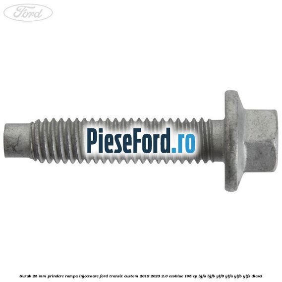 Surub 25 mm prindere rampa injectoare Ford Transit Custom 2019-2023 2.0 EcoBlue 105 cp BJFA, BJFB, YLF6, YLFA, YLFB, YLFS diesel