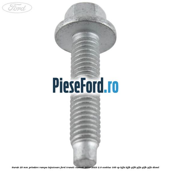 Surub 25 mm prindere rampa injectoare Ford Transit Custom 2019-2023 2.0 EcoBlue 105 cp BJFA, BJFB, YLF6, YLFA, YLFB, YLFS diesel