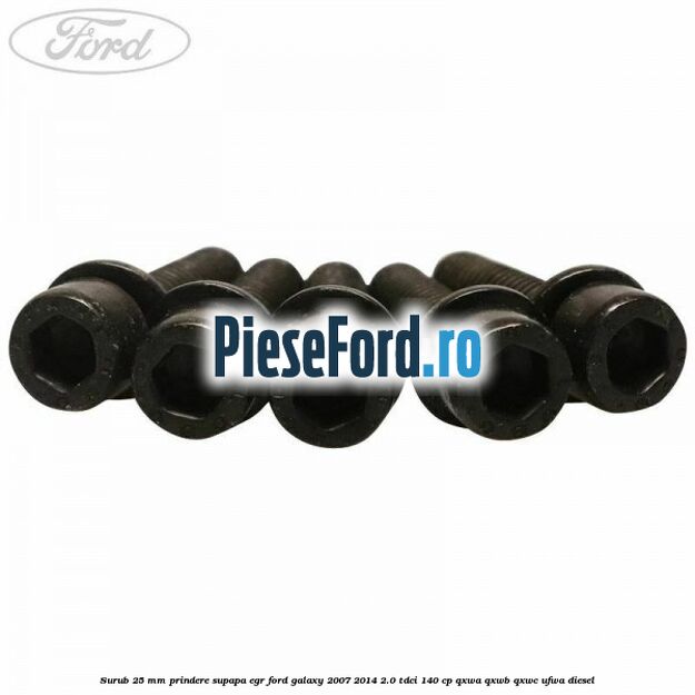 Surub 25 mm prindere supapa EGR Ford Galaxy 2007-2014 2.0 TDCi 140 cp QXWA, QXWB, QXWC, UFWA diesel