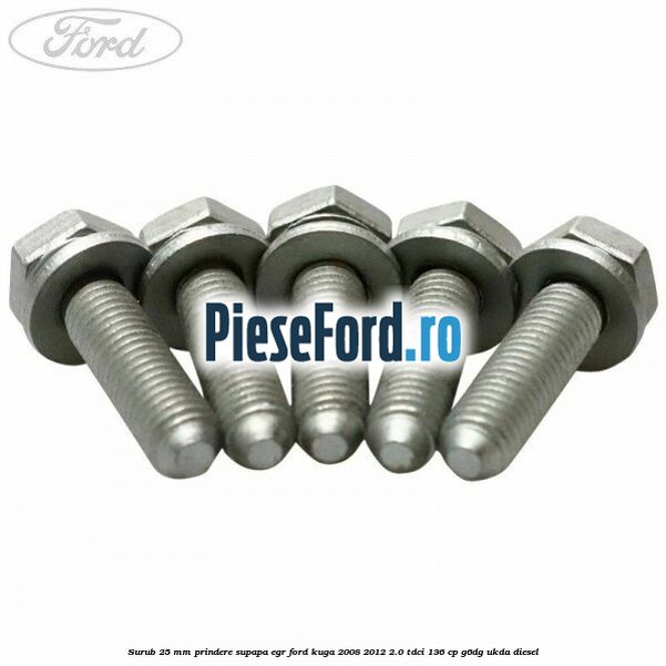 Surub 25 mm prindere supapa EGR Ford Kuga 2008-2012 2.0 TDCi 136 cp G6DG, UKDA diesel
