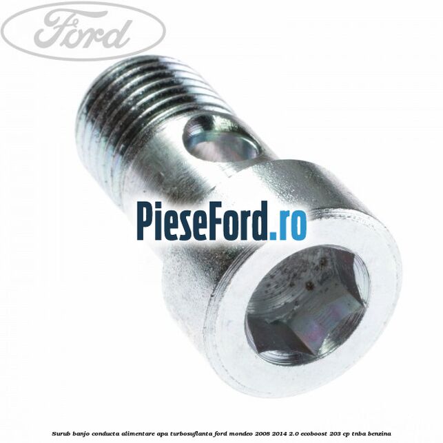 Surub banjo conducta alimentare apa turbosuflanta Ford Mondeo 2008-2014 2.0 EcoBoost 203 cp TNBA benzina
