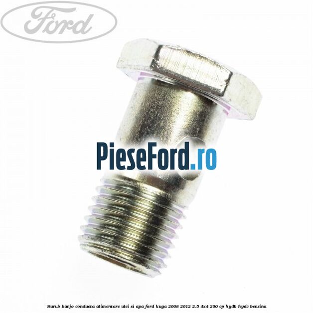 Surub banjo conducta alimentare ulei si apa Ford Kuga 2008-2012 2.5 4x4 200 cp HYDB, HYDC benzina