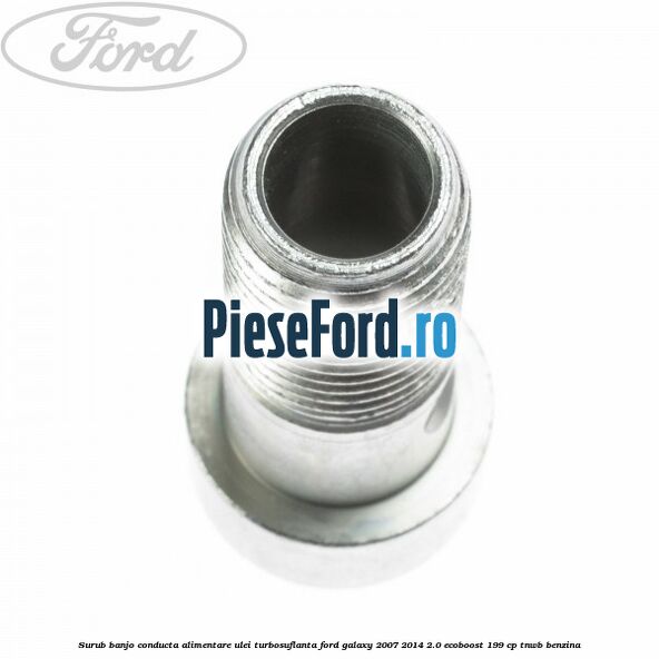 Surub banjo conducta alimentare ulei turbosuflanta Ford Galaxy 2007-2014 2.0 EcoBoost 199 cp Surub banjo conducta alimentare ulei turbosuflanta Ford Galaxy 2007-2014 2.0 EcoBoost 199 cp TNWB benzina