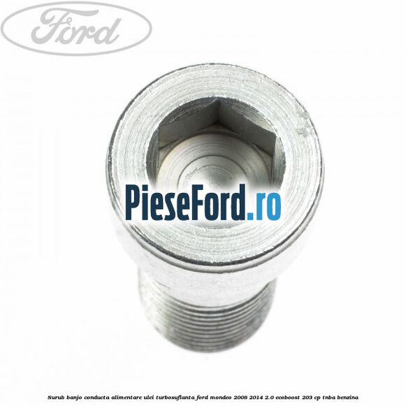 Surub banjo conducta alimentare ulei turbosuflanta Ford Mondeo 2008-2014 2.0 EcoBoost 203 cp TNBA benzina