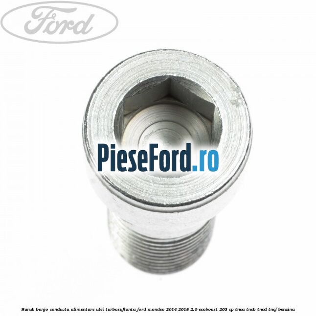 Surub banjo conducta alimentare ulei turbosuflanta Ford Mondeo 2014-2018 2.0 EcoBoost 203 cp TNCA, TNCB, TNCD, TNCF benzina