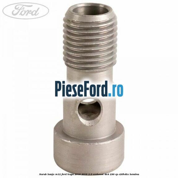 Surub banjo M12 Ford Kuga 2016-2018 2.0 EcoBoost 4x4 230 cp C20HDTX benzina