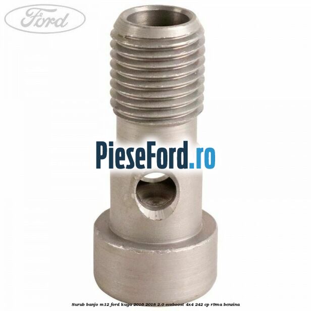 Surub banjo M12 Ford Kuga 2016-2018 2.0 EcoBoost 4x4 242 cp R9MA benzina