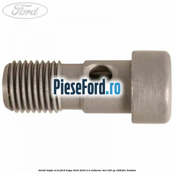 Surub banjo M14 Ford Kuga 2016-2018 2.0 EcoBoost 4x4 230 cp C20HDTX benzina