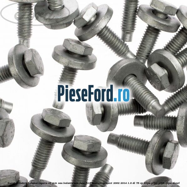 Surub prindere balama capota 25 mm sau balama usa fata Ford Tourneo Connect 2002-2014 1.8 Di 75 cp BHPA, P7PA, P7PB, R2PA diesel